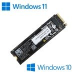 M.2 NVMe SSD with Windows 10/11 Pro