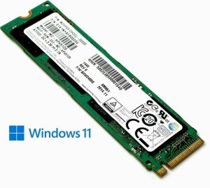 256GB M.2 NVMe SSD with Windows 10/11 Pro