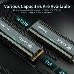 Fanxiang 2TB PCIe 4.0 M.2 NVMe SSD