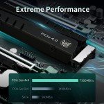 Fanxiang NVMe PCIe Gen4 SSD with Heatsink 1TB-4TB