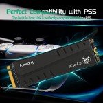 Fanxiang 2TB PS5 SSD with HeatSink PCIe 4.0