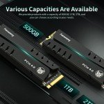 Fanxiang NVMe PCIe Gen4 SSD with Heatsink 1TB-4TB