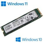 M.2 NVMe SSD with Windows 10/11 Pro - 128GB/256GB/512GB