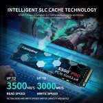 Fanxiang M.2 NVMe PCIe SSD 256GB to 2TB