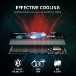 Fanxiang M.2 NVMe PCIe SSD 256GB to 2TB