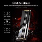 Netac 1TB PCIe 4.0 NVMe SSD for PS5