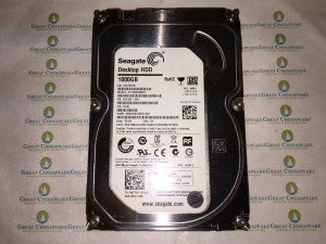 Seagate Barracuda ST1000DM003 1TB SATA 7200RPM 3.5" HDD TESTED!