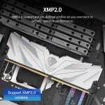 Netac 32GB DDR4 3200MHz Desktop RAM Kit