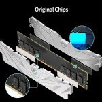 Netac 32GB DDR4 3200MHz Desktop RAM Kit