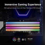 Fanxiang RGB 32GB DDR4 3600MHz Desktop RAM
