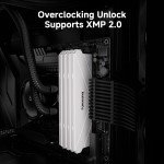 Fanxiang 16GB DDR4 3200MHz Dual Channel RAM