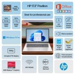 HP 17.3" FHD Ryzen 5 Laptop with 64GB RAM