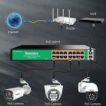 Reidubo 18-Port Gigabit PoE Switch, 250W