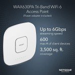 NETGEAR WAX630PA WiFi 6 Access Point - AX6000 Speed