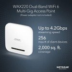 NETGEAR WAX220 WiFi 6 Access Point - AX4200 Speed
