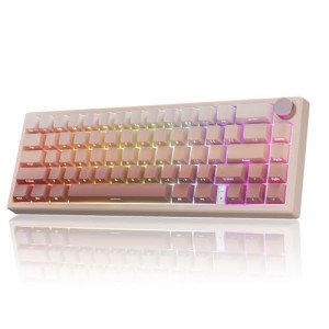 RisoPhy 60% Wireless Mechanical Keyboard, 2.4G/USB-C/Bluetooth Gaming Keyboard with LED Backlight/Gasket Mount/Red Switches/Metal Knob/Software