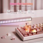 RisoPhy 60% Wireless Mechanical Keyboard, 2.4G/USB-C/Bluetooth Gaming Keyboard with LED Backlight/Gasket Mount/Red Switches/Metal Knob/Software