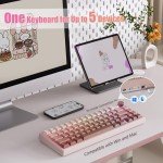 RisoPhy 60% Wireless Mechanical Keyboard, 2.4G/USB-C/Bluetooth Gaming Keyboard with LED Backlight/Gasket Mount/Red Switches/Metal Knob/Software