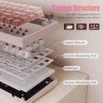 RisoPhy 60% Wireless Mechanical Keyboard, 2.4G/USB-C/Bluetooth Gaming Keyboard with LED Backlight/Gasket Mount/Red Switches/Metal Knob/Software