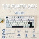 EPOMAKER x Aula F75 Gasket Mechanical Keyboard, 75% Wireless Hot Swappable Gaming Keyboard with Five-Layer Padding&Knob, Bluetooth/2.4GHz/USB-C, RGB (Light Blue, LEOBOG Reaper Switch)