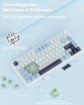 AULA F75 Wireless Mechanical Keyboard, Gasket Hot Swappable Custom, Pre-lubed Reaper Switches RGB Backlit, 2.4GHz/Type-C/BT5.0 Mechanical (White & Blue)