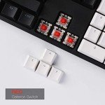 Keychron C2 104 Keys Full Size Wired Mechanical Keyboard for Mac Windows, White LED Backlit Double-Shot ABS Keycaps Gateron Red Switch USB-C Gaming Keyboard for Gamer/Typists/Office/Home