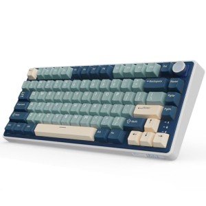 RK ROYAL KLUDGE R75 Wireless Mechanical Keyboard, 75% Percent Custom Gaming Keyboard Gasket Mount RGB Backlit with Knob & PBT Keycaps, BT5.1/2.4GHz/USB-C, Hot Swappable Cream Switch