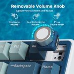 RK ROYAL KLUDGE R75 Wireless Mechanical Keyboard, 75% Percent Custom Gaming Keyboard Gasket Mount RGB Backlit with Knob & PBT Keycaps, BT5.1/2.4GHz/USB-C, Hot Swappable Cream Switch