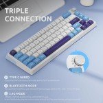 KZZI 65% Keyboard with Color Multimedia Display Mechanical Gaming Keyboard, Wired Hot Swappable Keyboard, Gasket Mount RGB Custom Keyboard, Pre-lubed Stabilizer for Mac/Win, (Large Blue)