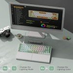 RK ROYAL KLUDGE RKS70 Ergonomic Split Mechanical Keyboard, Wireless Bluetooth/2.4G/Wired Keyboard with Wrist Rest, 75% RGB PC Gaming Keyboards for Win/Mac, Hot Swappable Silver Grey Switches, White