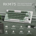 RK ROYAL KLUDGE M75 Wireless Mechanical Keyboard 2.4Ghz/BT5.1/USB-C Gaming Keyboard 75% Layout 81 Keys Gasket Mount with OLED Display & Knob RGB Backlight Hot-Swappable Pale Green Switch, Green