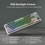 RK ROYAL KLUDGE M75 Wireless Mechanical Keyboard 2.4Ghz/BT5.1/USB-C Gaming Keyboard 75% Layout 81 Keys Gasket Mount with OLED Display & Knob RGB Backlight Hot-Swappable Pale Green Switch, Green