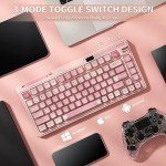 KZZI K75 PRO RGB 75% Wireless Gasket Mechanical Keyboard, Triple Mode BT 5.0/2.4G/USB-C 82 Keys Hot Swappable Gaming Keyboard w/Knob & Power Display, Custom Tactile Switches, Sakura Pink