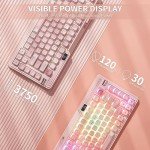 KZZI K75 PRO RGB 75% Wireless Gasket Mechanical Keyboard, Triple Mode BT 5.0/2.4G/USB-C 82 Keys Hot Swappable Gaming Keyboard w/Knob & Power Display, Custom Tactile Switches, Sakura Pink