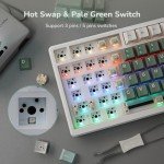 RK ROYAL KLUDGE M75 Wireless Mechanical Keyboard 2.4Ghz/BT5.1/USB-C Gaming Keyboard 75% Layout 81 Keys Gasket Mount with OLED Display & Knob RGB Backlight Hot-Swappable Pale Green Switch, Green
