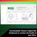 Western Digital 2TB WD Green SN350 NVMe Internal SSD Solid State Drive - Gen3 PCIe, QLC, M.2 2280, Up to 3,200 MB/s - WDS200T3G0C