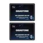 Gigastone 1TB NAS SSD Drive (2-Pack) 24/7 Durable TLC High Endurance RAID Data Storage Network Attached Storage 2.5" SATA Internal Solid State Hard Drives