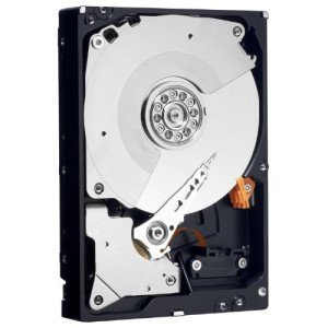 Western Digital Desktop Performance 2 TB Cache 3.5-Inch Internal Bare Hard Drive WDBSLA0020HNC-NRSN