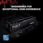 G.SKILL Ripjaws S5 Series (Intel XMP 3.0) DDR5 RAM 64GB (2x32GB) 5200MT/s CL40-40-40-83 1.10V Desktop Computer Memory UDIMM - Matte Black (F5-5200J4040A32GX2-RS5K)
