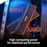 Lexar 32GB (2x16GB) THOR DDR4 RAM 3200MT/s CL16 1.35V Desktop Memory with Heatsink, AMD Ryzen & Intel XMP 2.0, Black (LD4U16G32C16LG-RUD)