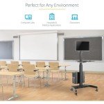 StarTech.com Mobile Workstation Cart with Monitor Mount, CPU/PC Holder, Keyboard Tray - Ergonomic Height Adjustable Desktop Cart - Rolling Mobile Standing Workstation on Wheels (WKSTNCART)