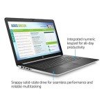 2020 HP 17 High-Performance PC laptop : 17.3 HD+ Anti-Glare Display, AMD Ryzen 3-3200 Processor, 8GB Ram, 256GB SSD, AMD Radeon Vega 3, Wifi, Bluetooth, DVDRW, HDMI, TureVision HD Webcam, Win10