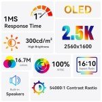 10.5" 2.5K OLED Portable Touchscreen Monitor