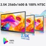 10.5" 2.5K OLED Portable Touchscreen Monitor