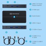 YINNCEEN 5Gbps USB 3.0 Switch - 2 Computers Share 4 USB Devices, Peripheral Adapter for PC Printer Scanner Mouse Keyboard, KVM Compatible With Mac/Windows/Linux
