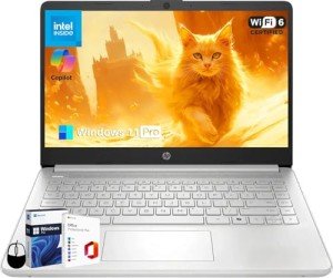 HP 2025 Student Business Laptop, Intel Processor N150(up to 3.6 GHz), 14 Inch LED Screen, 16GB RAM, 384GB Storage(128GB UFS+256GB MSD), Wi-Fi 6, Copilot AI, Office Pro Lifetime, Windows 11 Pro,w/Mouse