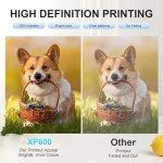 A3 UV Printer Machine with Computer,XP600 Flatbed Printer with Bottle Holder for Glass Cups Phone Case Wood Acrylic Golf Balls