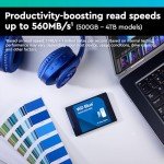 WD Blue SA510 1TB SATA SSD with Acronis