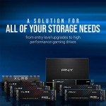 PNY CS900 1TB SATA3 Internal SSD