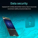 GAMERKING 256GB M.2 2260 SATA III 6Gb/s SSD Internal High Performance Solid State Drive for Desktop Laptop